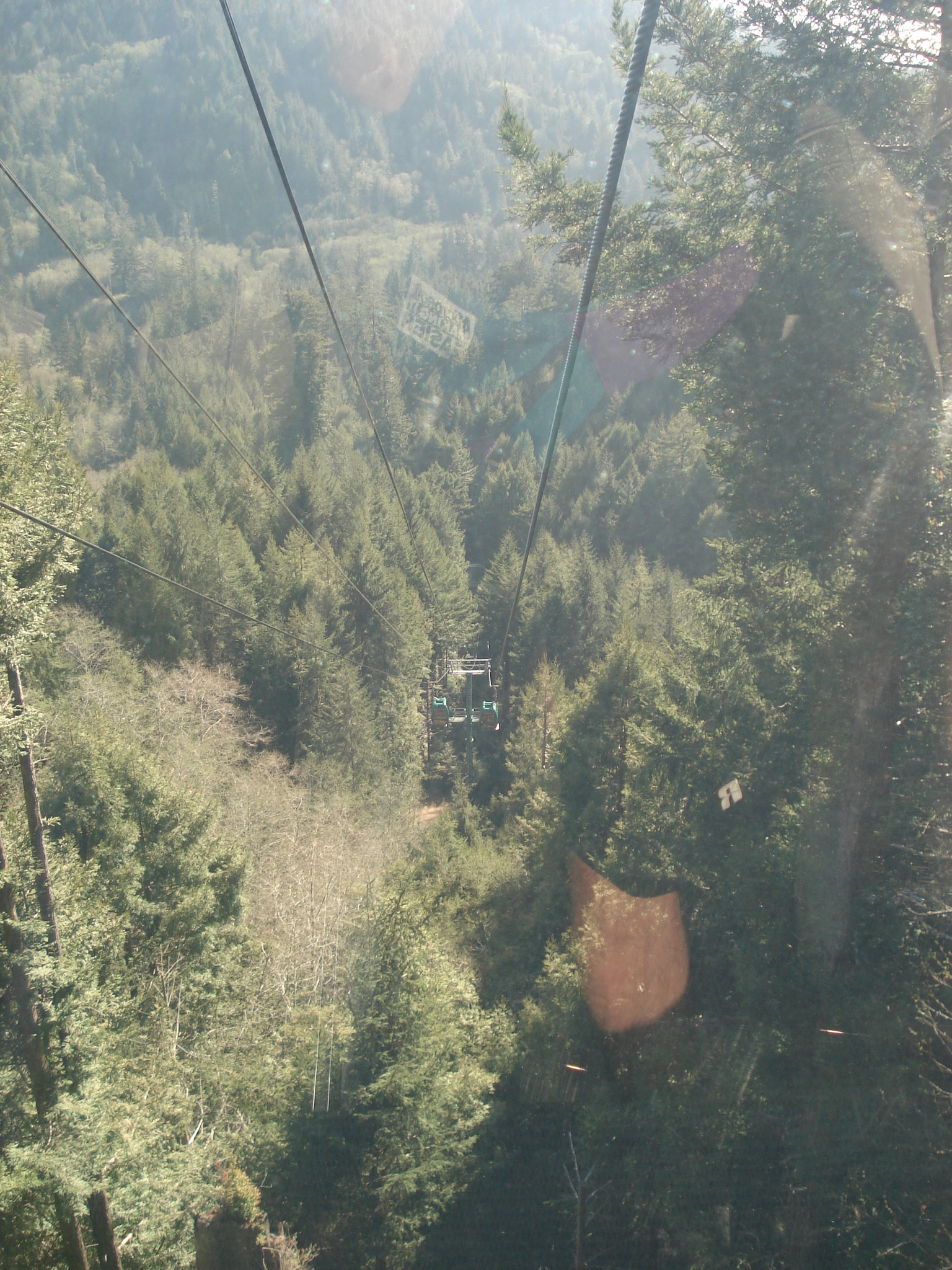 Our Trip to Redwood National Park